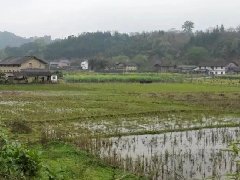 人大代表分組審議《政府工作報(bào)告》和《“十四五”規(guī)劃綱要》（草案）