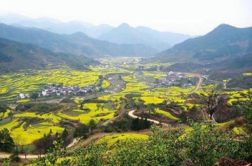 河南周口經(jīng)濟(jì)開(kāi)發(fā)區(qū)：砥礪奮進(jìn)譜寫轉(zhuǎn)型高潮