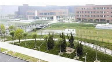 南寧經開區:全力服務推動臨空經濟示范區創建
