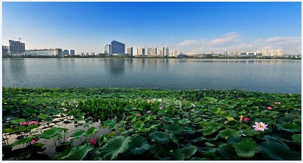 遂寧經(jīng)開區(qū):讓“紅色基因”激蕩企業(yè)發(fā)展春潮