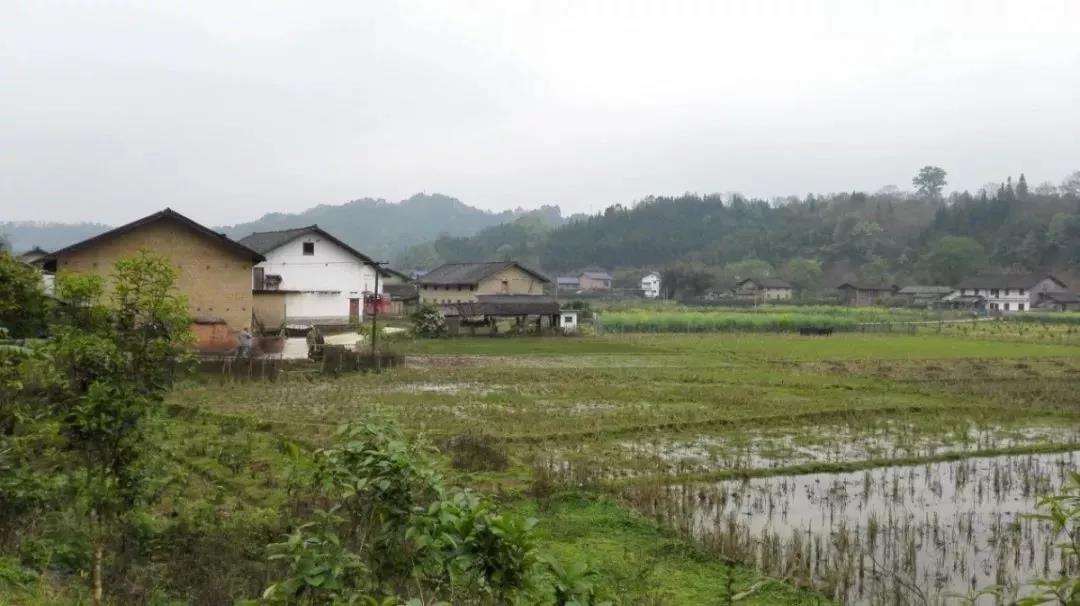 農村土地確權結束，沒登記的四荒地如何處理？
