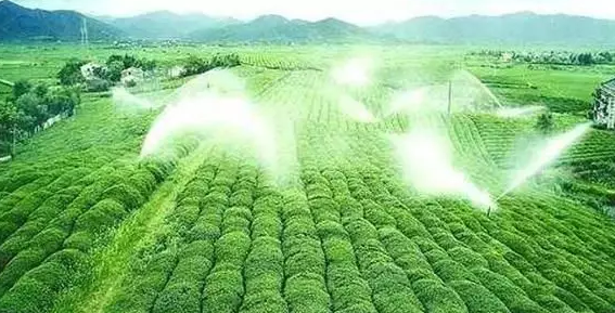 重磅！2019中央一號文件即將發布！大農業領域迎來新機遇