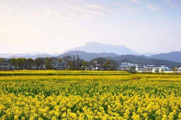 安慶潛山：突出個性特色，推動鄉(xiāng)村振興