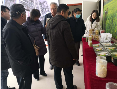 借力專家智慧，云州區蹄疾步穩邁向國家現代農業產業園